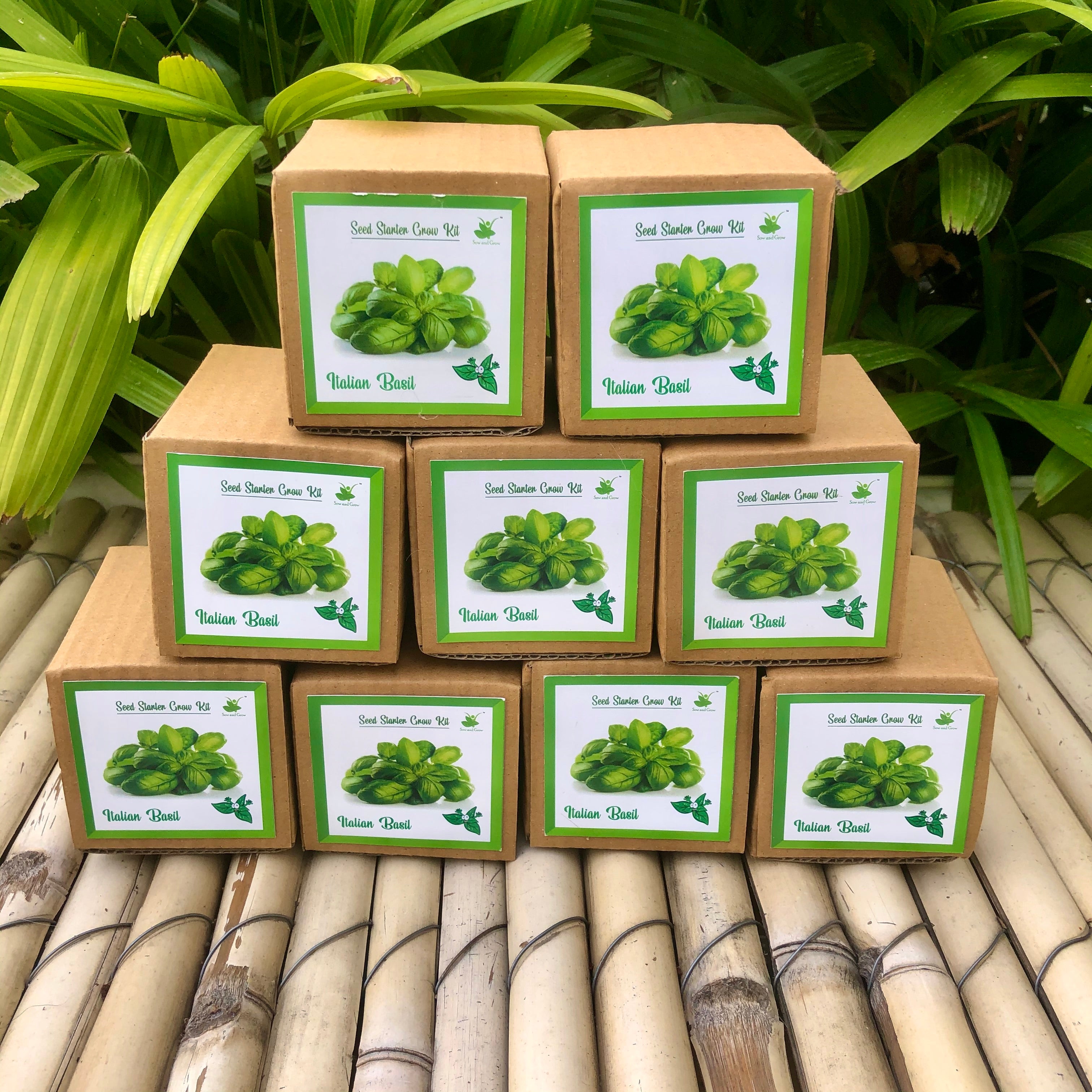 Sow and Grow Mini Grow Kits of Italian Basil Set of 9 Sow and Grow