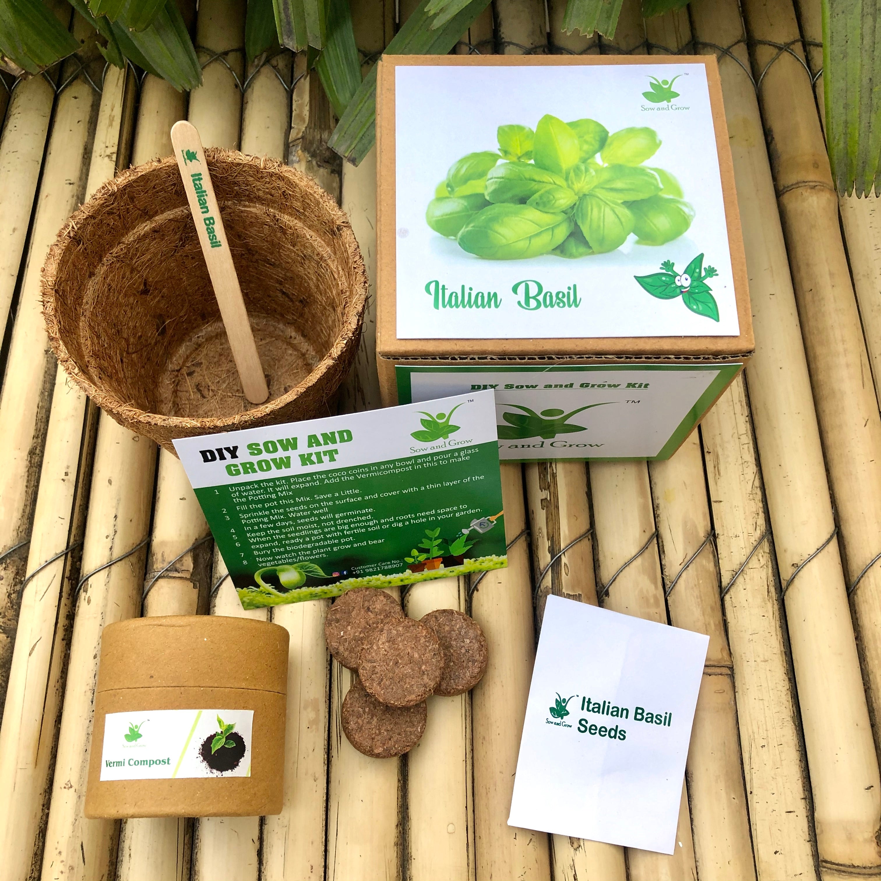 Sow and Grow DIY Gardening Kit of Italian Basil Genovese Grow it